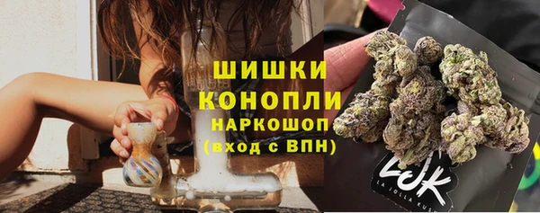 спиды Сосновый Бор