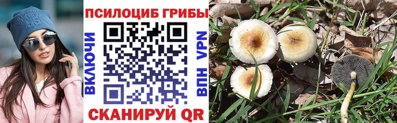 Галлюциногенные грибы ЛСД blacksprut ссылка Ершов